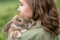 Cute red haired domestic rabbit. Fluffy animal lies on the girlÃ¢â¬â¢s shoulder. Beautiful coat, big eyes