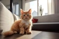 Cute red-haired kitten. Cat at home, pets indoors. AI Generated Royalty Free Stock Photo