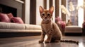 Cute red-haired kitten on the floor. Cat at home, pets indoors. AI Generated Royalty Free Stock Photo