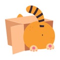 Cute Red Kitten Playing with Cardboard Box, Adorable Funny Pet Baby Animal Cartoon Vector Illustration Royalty Free Stock Photo
