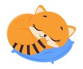 Cute Red Kitten Sleeping on Pillow, Adorable Funny Pet Baby Animal Cartoon Vector Illustration Royalty Free Stock Photo