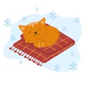 A cute red kitten sleeps on a blanket, curled up in a ball. Relaxed feline on a checkered blanket, cozy winter evening Royalty Free Stock Photo