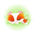 Cute red kitten sleeps and looks at the white butterfly. Delicate green background with grass and daisies