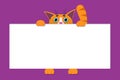A cute red little kitty holds a white sheet, a board for announcements and inscriptions. Vector