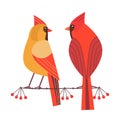 Cute Robin bird icon Royalty Free Stock Photo