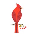 Cute Robin bird icon Royalty Free Stock Photo