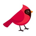 Cute red Northern Cardinal illustration Royalty Free Stock Photo