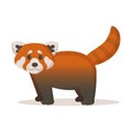 Cute red panda. Flat vector illustration, isolated on white background. Royalty Free Stock Photo