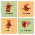 Cute red panda posters set, cartoon flat vector illustration. Royalty Free Stock Photo