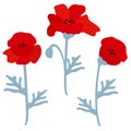 red poppy flowers vector illustration set isolated on white background Royalty Free Stock Photo