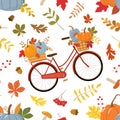 Red bike with autumn pumpkins and dry leaves. Vector seamless pattern on white background Royalty Free Stock Photo