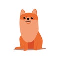 Cute red spitz dog shiny eyes stay at the place