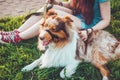 Cute redhead pets relaxing on green grass after long play, have a fun outdoors. Happy young hipster girl in red sneakers with her Royalty Free Stock Photo