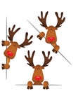 Cute reindeer peeking from behind in various positions