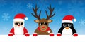 Cute reindeer santa claus and penguin cartoon with sunglasses on Royalty Free Stock Photo