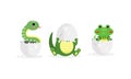 Cute Reptile Hatching from Cracked Egg Vector Set Royalty Free Stock Photo