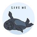 Cute ringed seal, save me slogan, isolated adult nerpa sticker, animal extinction problem, Red List, editable vector illustration