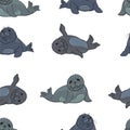 Cute ringed seals, nerpas, cartoon drawing adorable animals on white background seamless pattern, editable vector illustration