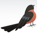 Cute robin bird animal icon Royalty Free Stock Photo