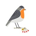 Cute robin icon Royalty Free Stock Photo