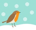 Cute robin bird in winter scenery Royalty Free Stock Photo