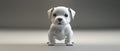 Cute robotic puppy on empty background. White happy little dog robot. Futuristic pet assistant powered by artificial intelligence