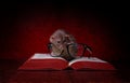 Cute rodent with reading glases looks into a big, red book