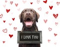 Cute romantic dog says i love you, text on sign board with red h