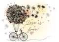 Cute romantic vector illustration with retro bicycle and dandelions in vintage style Royalty Free Stock Photo