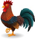 Cute rooster cartoon