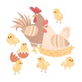 Cute rooster, hen and chickens isolated on white background Royalty Free Stock Photo