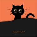 Cute round eyes halloween black cat