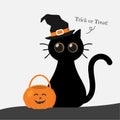 Cute round eyes halloween cat with lantern