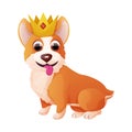 Cute royal corgi dog with crown sitting, adorable pet in cartoon style isolated on white background. Comic emotional Royalty Free Stock Photo