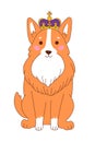 Cute royal corgi. Puppy sticker. A happy dog in a crown. Royalty Free Stock Photo