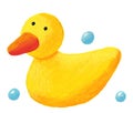 Cute rubber duck