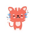 Cute sad cry unhappy cat character