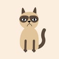 Cute sad grumpy siamese cat in flat design style.