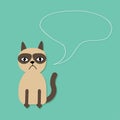 Cute sad grumpy siamese cat and speech bubble in flat design style