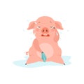 Cute sad little pig crying, funny piglet cartoon character vector Illustration on a white background