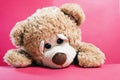 Cute Sad lonely teddy bear on red background Royalty Free Stock Photo