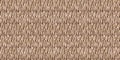 Cute safari wild tiger fur print animal border for babies room decor. Seamless big cat furry brown textured gender