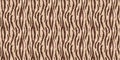 Cute safari wild tiger fur print animal border for babies room decor. Seamless big cat furry brown textured gender