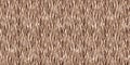 Cute safari wild tiger fur print animal border for babies room decor. Seamless big cat furry brown textured gender