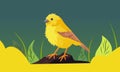 Cute Saffron Finch Bird Sitting on Rock, Green and Yellow Grass Land Royalty Free Stock Photo