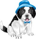 Cute Saint Bernard puppy dog in panama hat