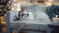 Cute Samoyed dog on sofa in room decorated for Christmas