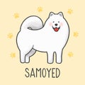 Cute Samoyed cartoon hand drawn style