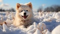 A cute Samoyed puppy playing in the snowy forest generated by AI Royalty Free Stock Photo