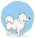 Cute Samoyed under the Snow with Tongue Out, Vector Illustration